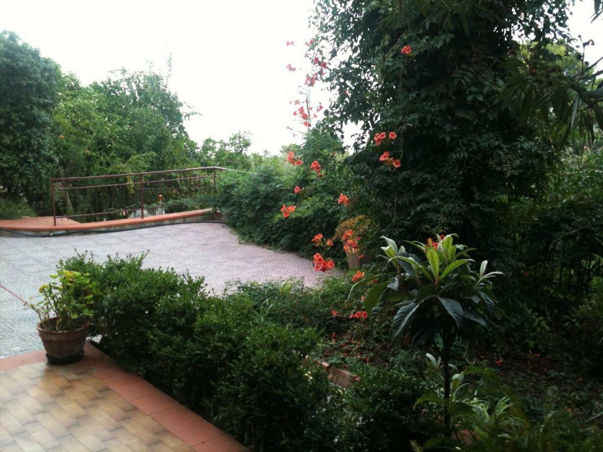 Green Villa Sand Beach Center Close Sea Veiw Cefalù Εξωτερικό φωτογραφία