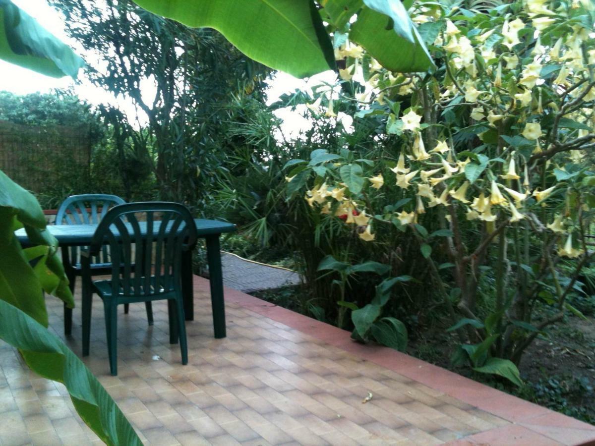 Green Villa Sand Beach Center Close Sea Veiw Cefalù Εξωτερικό φωτογραφία
