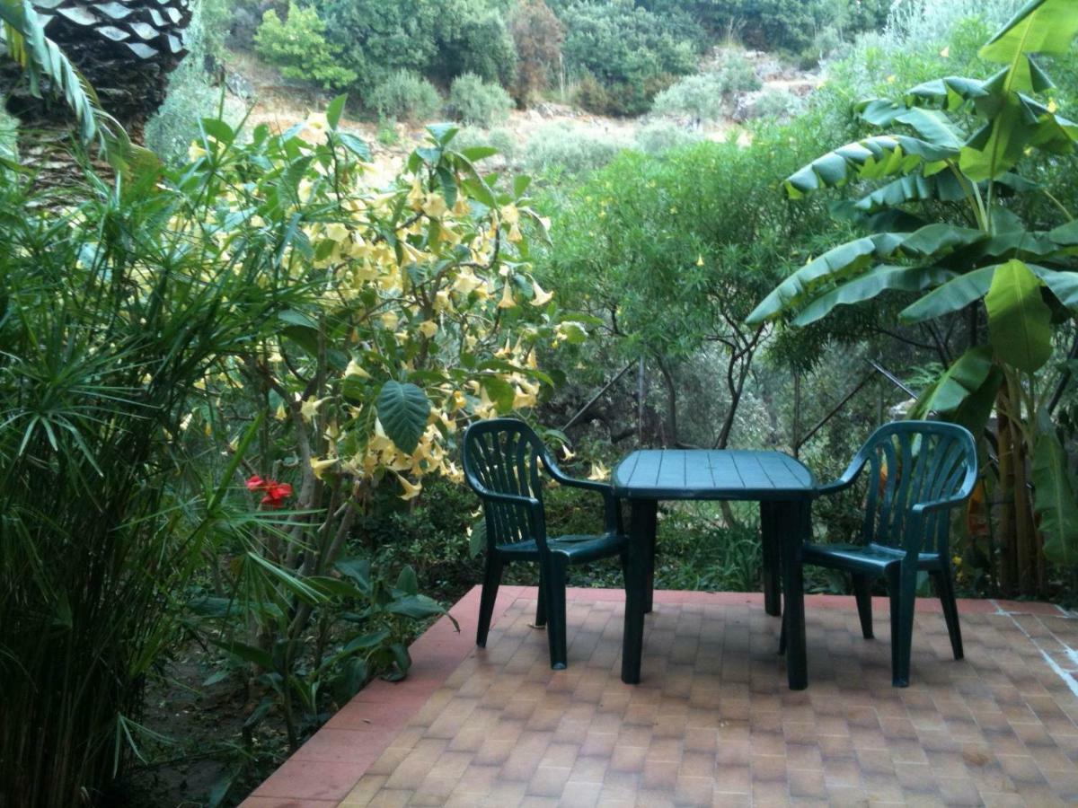 Green Villa Sand Beach Center Close Sea Veiw Cefalù Εξωτερικό φωτογραφία