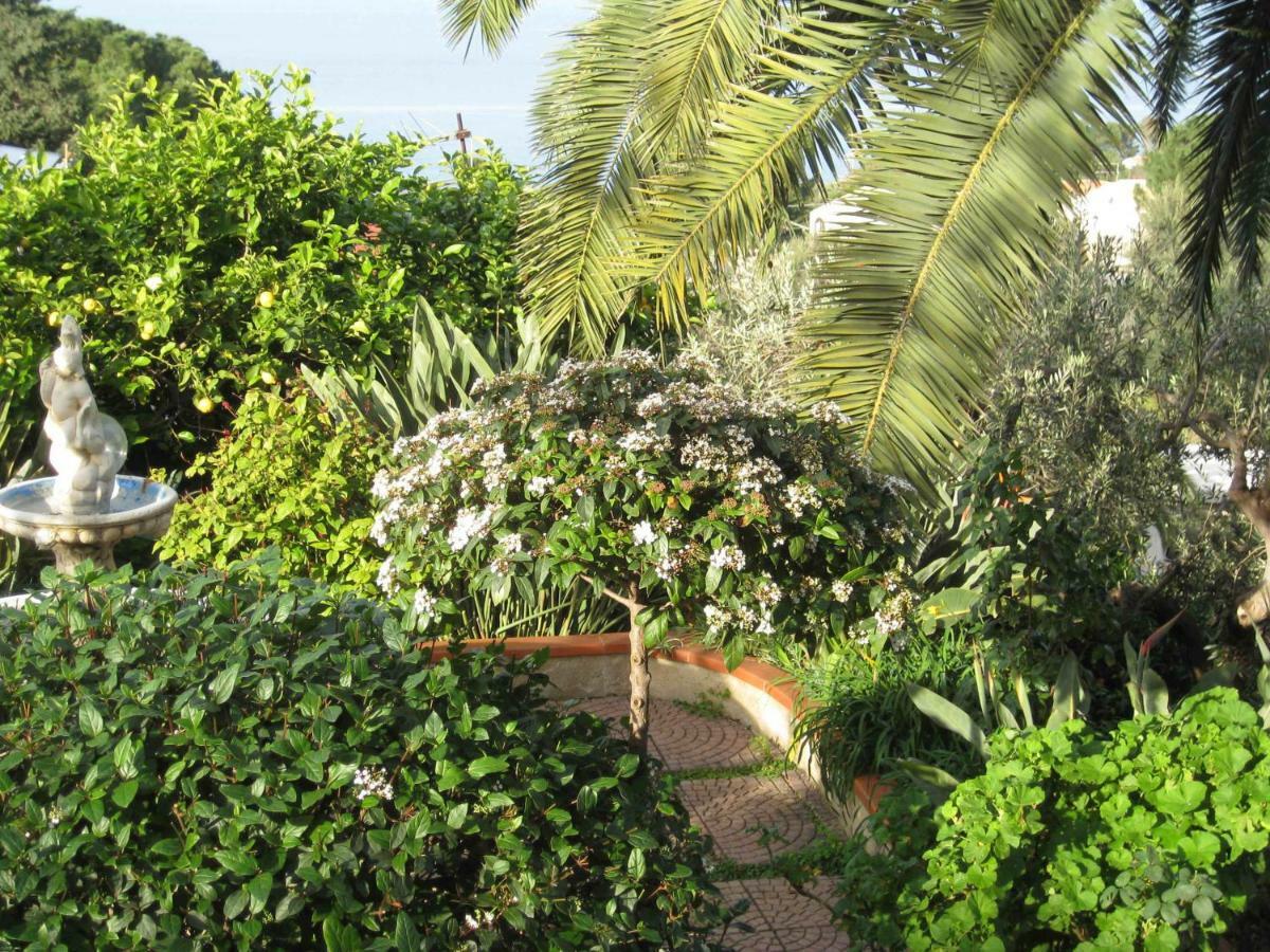 Green Villa Sand Beach Center Close Sea Veiw Cefalù Εξωτερικό φωτογραφία